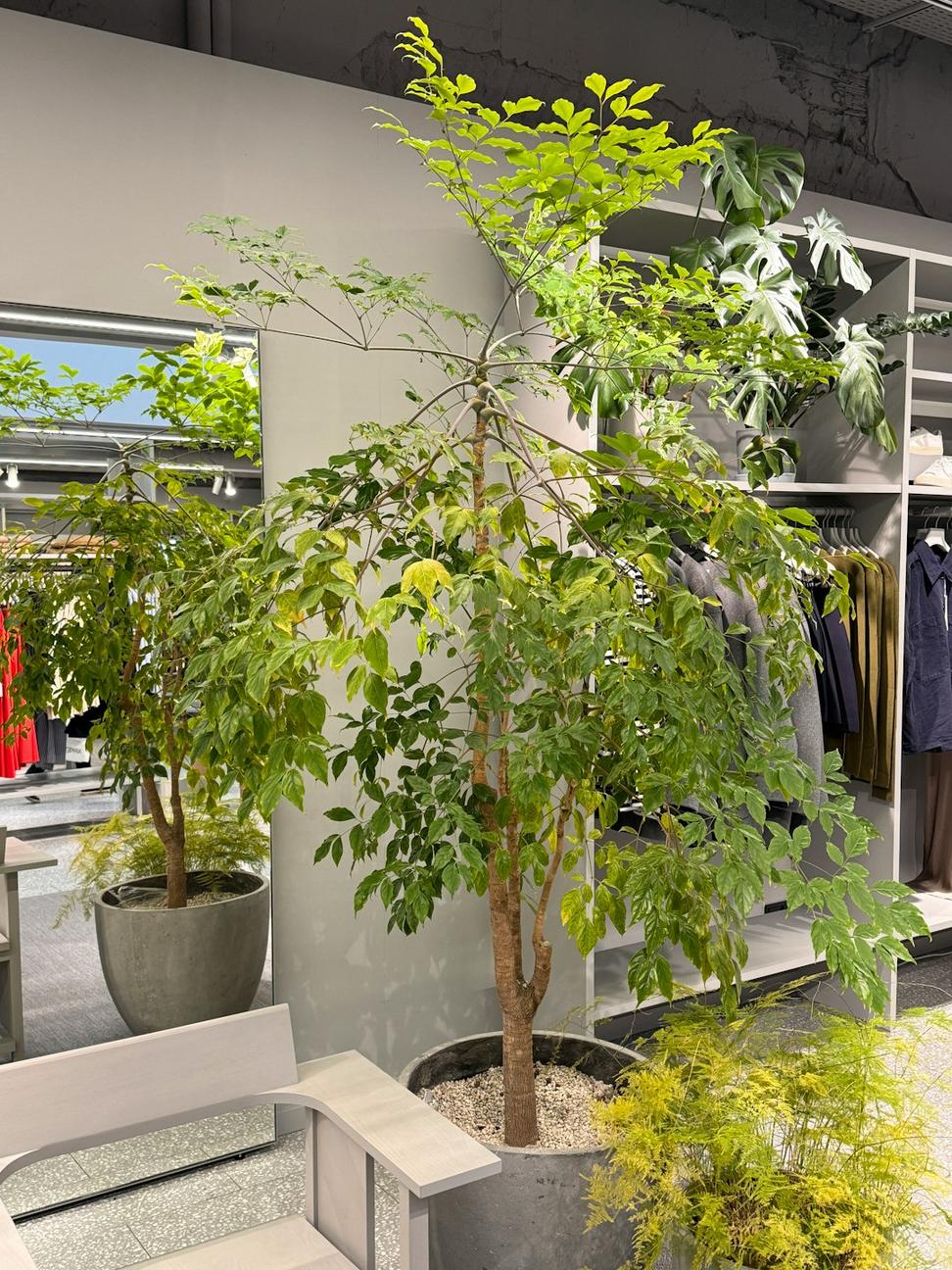 Eco Retail